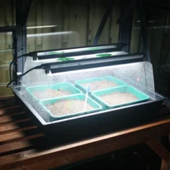 Monotop Propagator -The Garden Hub Sales image 100071