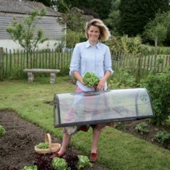 Kitchen Garden Cloche 9 Kitchen Garden Cloche -The Garden Hub Sales image 103136