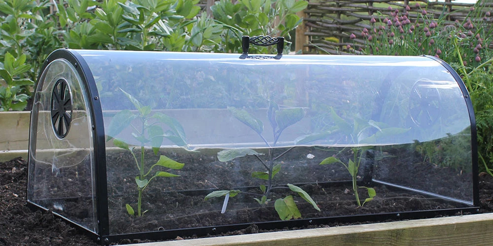 Kitchen Garden Cloche 3 Kitchen Garden Cloche - Image 3