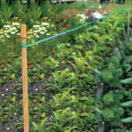 Birdscare 4 Birdscare - Image 4