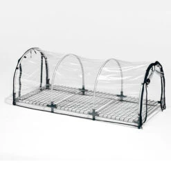 Bio Green Jumbo Propagator -The Garden Hub Sales image 104950