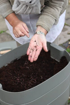 Urbalive Worm Composter -The Garden Hub Sales image 109015