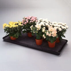 Self Watering Trays 5 Self Watering Trays -The Garden Hub Sales image 135950