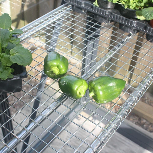 Greenhouse Integral Staging 4 Greenhouse Integral Staging - Image 4