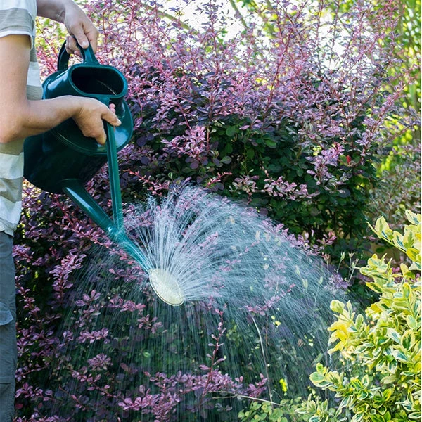 Haws Outdoor Long Reach Watering Can 2 Haws Outdoor Long Reach Watering Can - Image 2