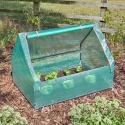 Gro-Zone Gro-Cloche Standard