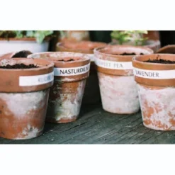 Electronic Garden Labeller With Mains Adapter And Spare Tape -The Garden Hub Sales image 139049