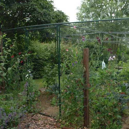 Deluxe Fruit Cage Door 3 Deluxe Fruit Cage Door - Image 3