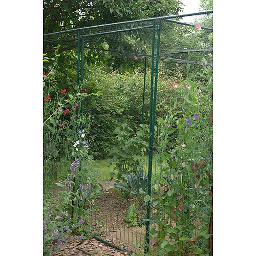 Deluxe Fruit Cage Door 2 Deluxe Fruit Cage Door - Image 2