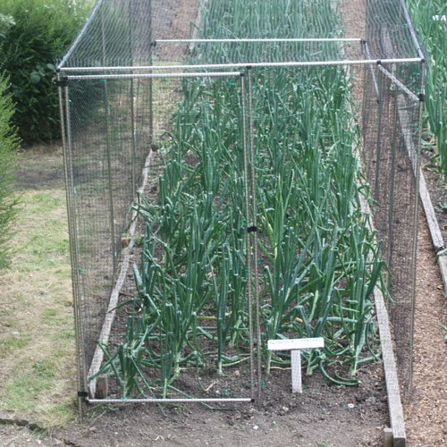 Fruit Cage Door 1 Fruit Cage Door