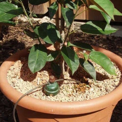 Tropf Blumat Tank Kit 11 Tropf Blumat Tank Kit -The Garden Hub Sales image 139460