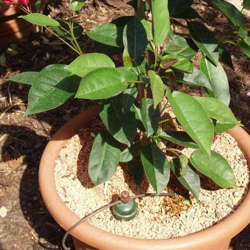 Tropf Blumat Tank Kit 3 Tropf Blumat Tank Kit - Image 3