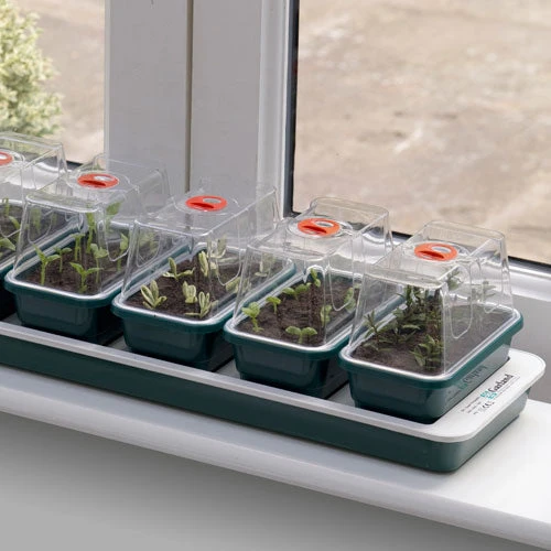 Window Sill Propagator With 14 Seed Trays And Covers 8 Window Sill Propagator With 14 Seed Trays And Covers - Image 8