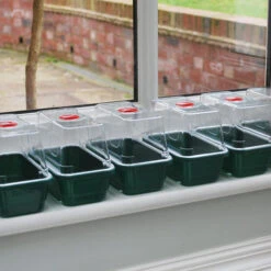 Window Sill Propagator With 14 Seed Trays And Covers 10 Window Sill Propagator With 14 Seed Trays And Covers -The Garden Hub Sales image 139614