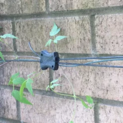 Gripple Plant Support System Starter Pack -The Garden Hub Sales image 140147