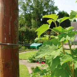 Gripple Plant Support System Starter Pack -The Garden Hub Sales image 140149