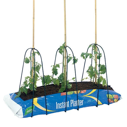 Grow Bag Cane Frame 2 Grow Bag Cane Frame - Image 2