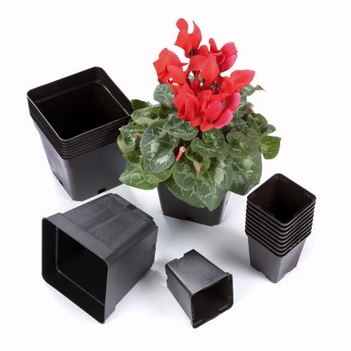 Square Pots 1 Square Pots