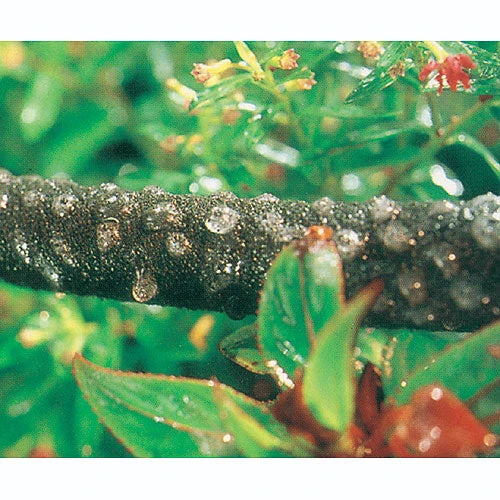 Weeping Garden Hose 1 Weeping Garden Hose