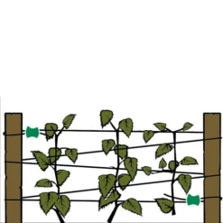 Gripple Plant Support System Starter Pack -The Garden Hub Sales image 64692