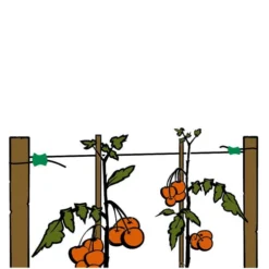 Gripple Plant Support System Starter Pack -The Garden Hub Sales image 64694