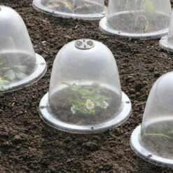 Pack Of 3 Popular Bells