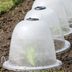 Pack Of 3 Popular Bells 15 Pack Of 3 Popular Bells -The Garden Hub Sales image 65854