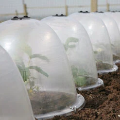 Pack Of 3 Popular Bells 14 Pack Of 3 Popular Bells -The Garden Hub Sales image 65855