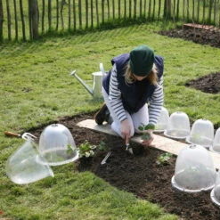 Pack Of 3 Popular Bells 12 Pack Of 3 Popular Bells -The Garden Hub Sales image 65857