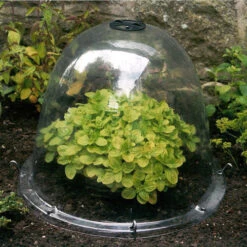 Pack Of 3 Popular Bells 11 Pack Of 3 Popular Bells -The Garden Hub Sales image 65858