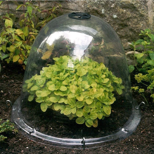 Pack Of 3 Popular Bells 4 Pack Of 3 Popular Bells - Image 4