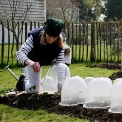 Pack Of 3 Popular Bells 10 Pack Of 3 Popular Bells -The Garden Hub Sales image 65859