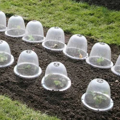 Pack Of 3 Popular Bells 2 Pack Of 3 Popular Bells - Image 2