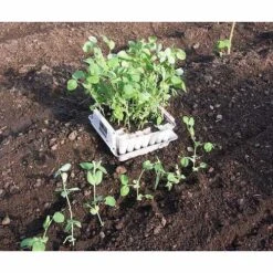 Compact Plant Trainer 14 Compact Plant Trainer -The Garden Hub Sales image 65988