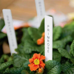 The Garden Hub Sales -The Garden Hub Sales image 83172