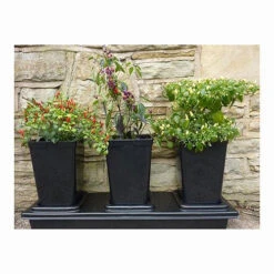 Triplegrow Planter Chillegrow 17 Triplegrow Planter Chillegrow -The Garden Hub Sales image 83433