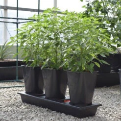 Triplegrow Planter Chillegrow 22 Triplegrow Planter Chillegrow -The Garden Hub Sales image 83438