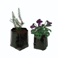 Polythene Pots 5 Polythene Pots -The Garden Hub Sales image 86782