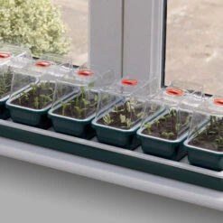 New Arrival 8 Window Sill Propagator