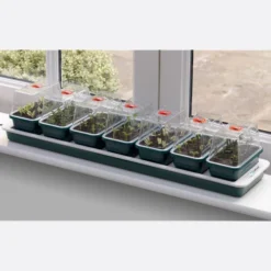 Window Sill Propagator -The Garden Hub Sales image 86966