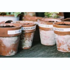 Laminated Tape For Garden Labeller -The Garden Hub Sales image 88766