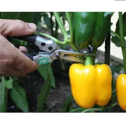 Darlac Compact Snips -The Garden Hub Sales image 88939