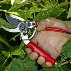Darlac Professional Secateurs -The Garden Hub Sales image 88996