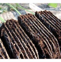 Rootrainers 9 Rootrainers -The Garden Hub Sales image 91392