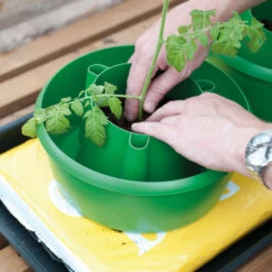 Plant Halos -The Garden Hub Sales plh3 1