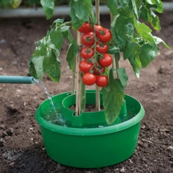 Plant Halos -The Garden Hub Sales plh6 1