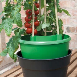 Plant Halos -The Garden Hub Sales plh7 1