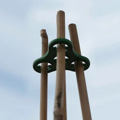 Plant Halos -The Garden Hub Sales plh8 1