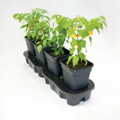 Quadgrow Planter -The Garden Hub Sales qgp2 1 2