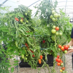 Quadgrow Planter -The Garden Hub Sales qgp9 3